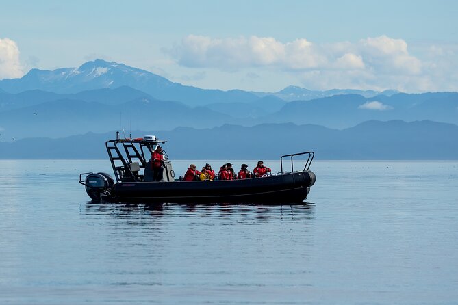 Sea Otter and Whale Watching Tour on Northern Vancouver Island - What the rigid inflatable boat means for your day