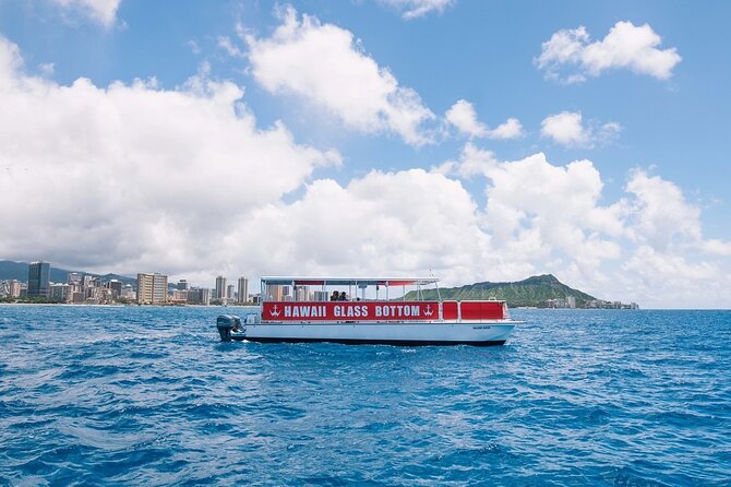 Sea Safari, Dolphins, Turtles and Waikiki Cruise - The wildlife gamble: dolphins, turtles, and whales