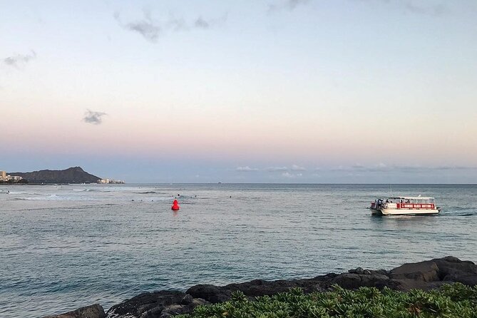 Sea Safari, Dolphins, Turtles and Waikiki Cruise - Is $46 a fair price for one hour?