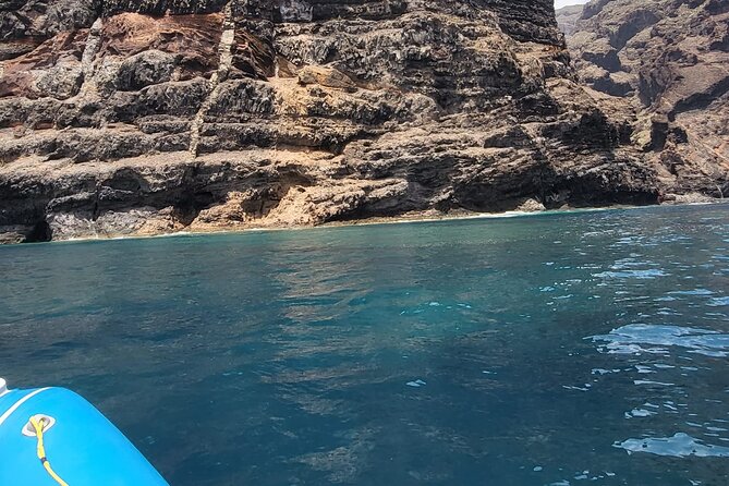 SEA SAFARI Dolphins, Whales, 3h speedboat DISCOVERY-TOUR - Swimming, snorkeling, and the BladeFish stop