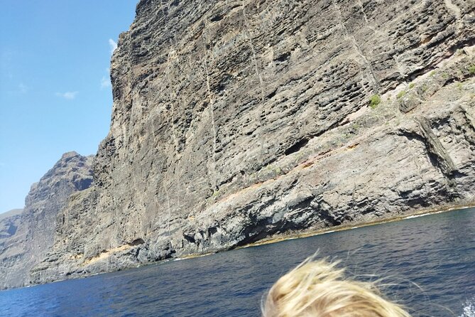 SEA SAFARI Dolphins, Whales, 3h speedboat DISCOVERY-TOUR - What the $78.10 price gets you