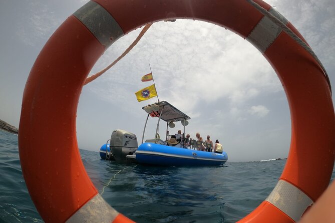 SEA SAFARI, Dolphins, Whales, snorkeling, snack and drink, 2 h speedboat - A swimming and snorkeling break in the Atlantic