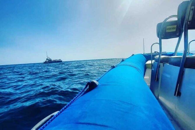 SEA SAFARI, Dolphins, Whales, snorkeling, snack and drink, 2 h speedboat - The speedboat section is part of the attraction