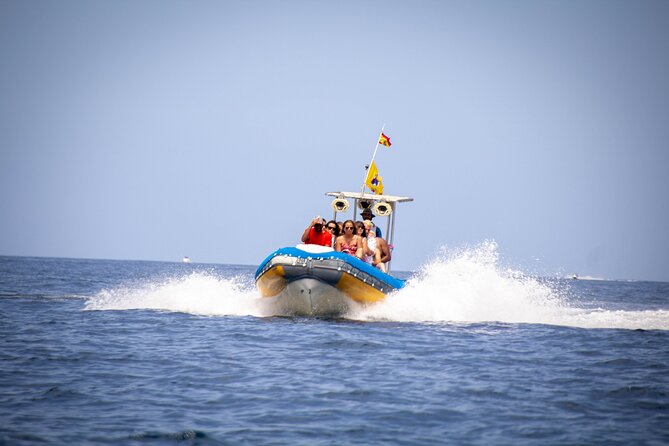 SEA SAFARI Dolphins,Whales, snorkeling, snack, drink, 3h private - Key things to know before you book