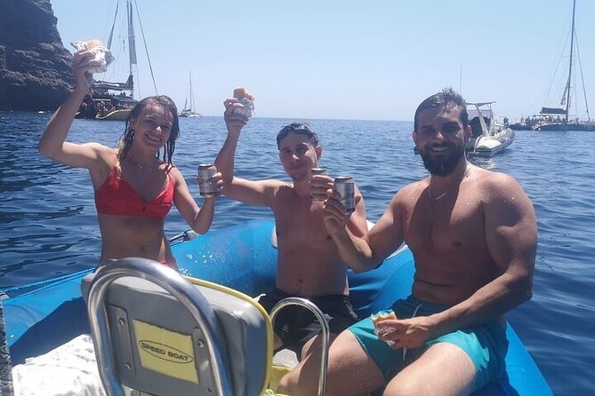 SEA SAFARI Dolphins,Whales, snorkeling, snack, drink, 3h private - The first run toward dolphins and whales