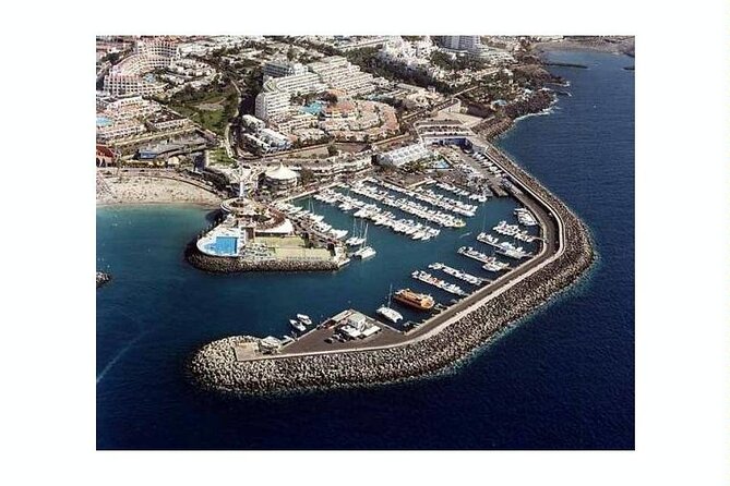 SEA SAFARI Dolphins,Whales, snorkeling, snack, drink, 3h private - Why a private boat changes the day