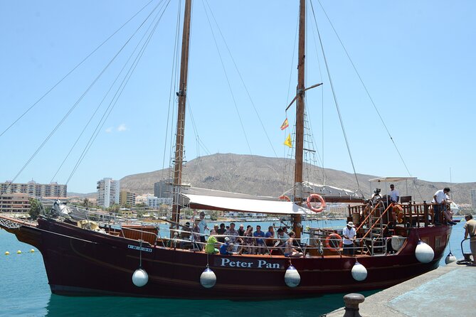 Sealife Dolphin & Whale Watching aboard Portuguese schooner - Lunch and a Swim in the Atlantic