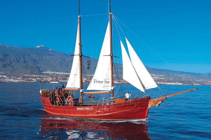 Sealife Dolphin & Whale Watching aboard Portuguese schooner - How the Timing Feels on the Water