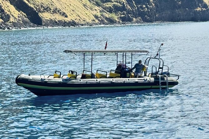 Seasonal Small-Group Humpback Whale Watching in Kona - Meeting the boat at Honokohau Marina