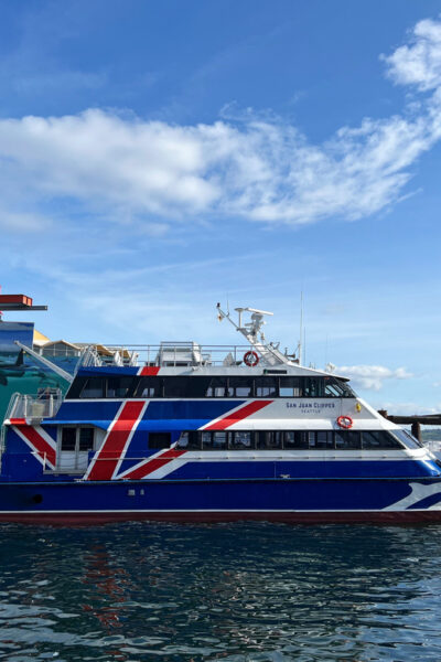 Seattle: Half-Day Wildlife and Whale Watching Cruise