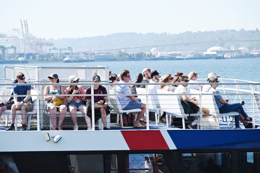 Seattle: Half-Day Wildlife and Whale Watching Cruise - The Naturalist Commentary