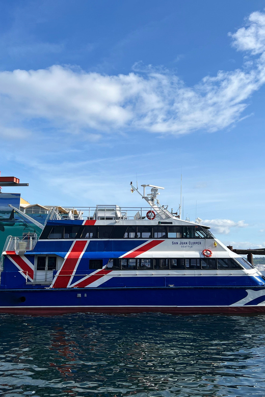 Seattle: Half-Day Wildlife and Whale Watching Cruise - The Ride into the Salish Sea