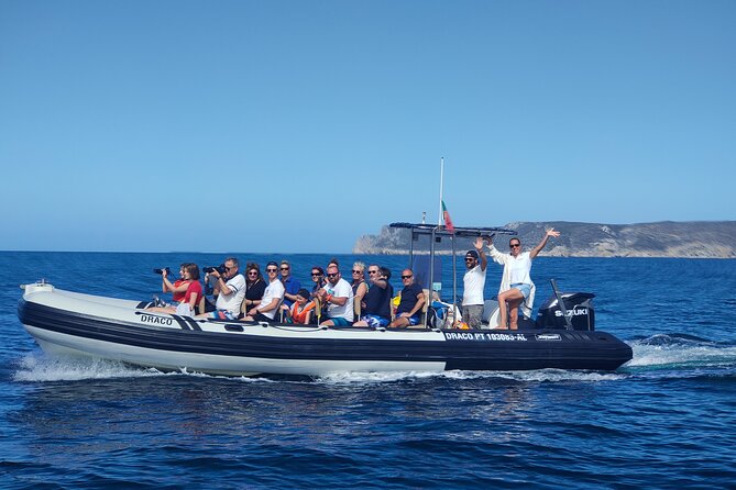 Sesimbra: Arrábida Dolphin and Whale Watching tour with biologist - Meeting at Sesimbra Marina before the boat leaves