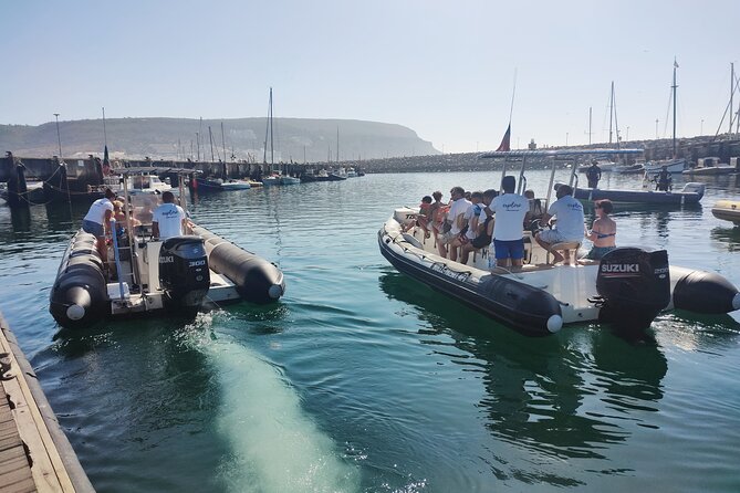 Sesimbra: Arrábida Dolphin and Whale Watching tour with biologist - Swimming and snorkeling at Ribeira do Cavalo