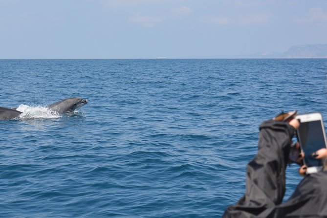 Sesimbra: Arrábida Dolphin and Whale Watching tour with biologist - Boat comfort, weather, and what to pack