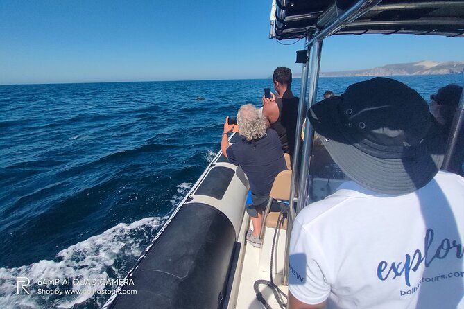 Sesimbra: Arrábida Dolphin and Whale Watching tour with biologist - Who will enjoy this trip most?