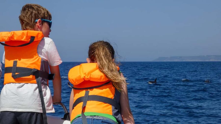 Sesimbra: Arrábida Dolphin and Whale Watching with Biologist - The return to Sesimbra