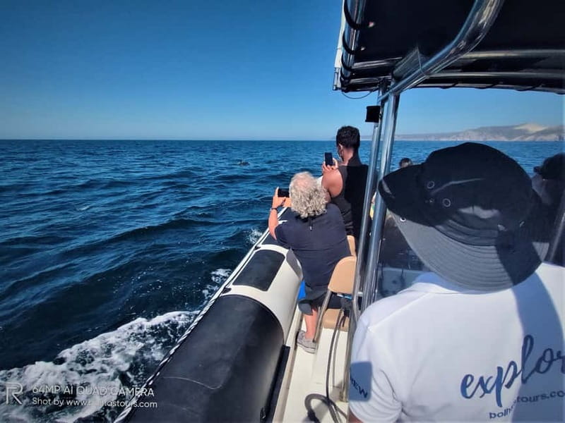 Sesimbra: Dolphin and Whales Watching with Biologist Guide - Key points to know before booking