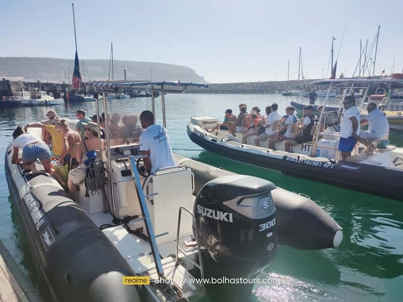 Sesimbra: Dolphin and Whales Watching with Biologist Guide - What the biologist adds to the experience