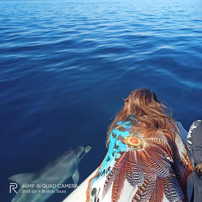 Sesimbra: Dolphin and Whales Watching with Biologist Guide - Should you book the Sesimbra dolphin tour?