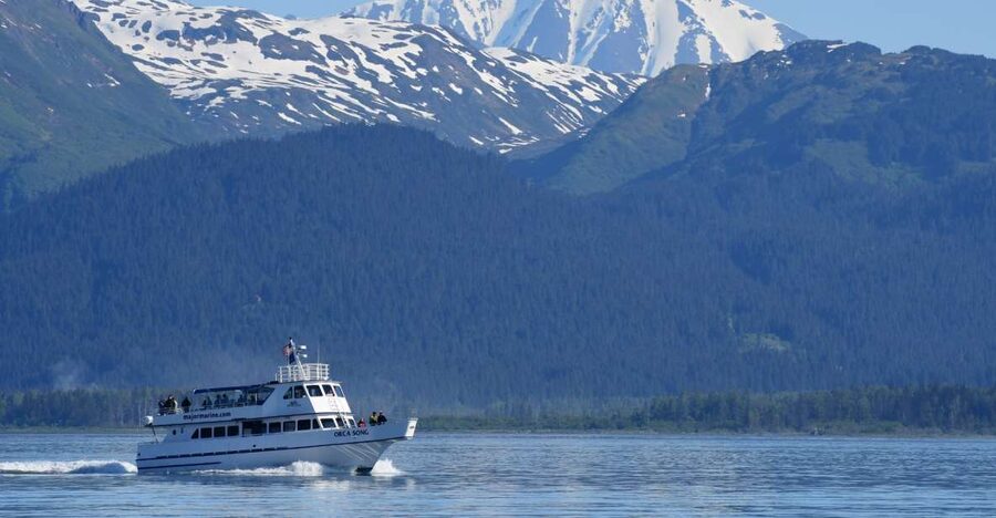 Seward: Resurrection Bay Orca Quest Cruise - Practical details for a smoother day