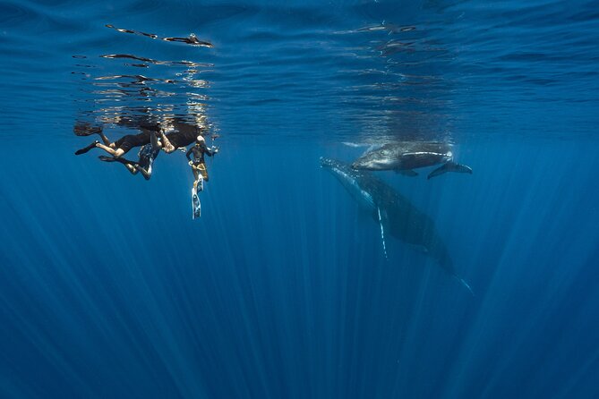 Shared Whale Expedition - Leaving Moorea Marina with only six aboard