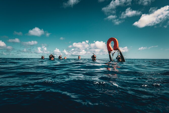 Shared Whale Expedition - Physical demands, weather, and comfort
