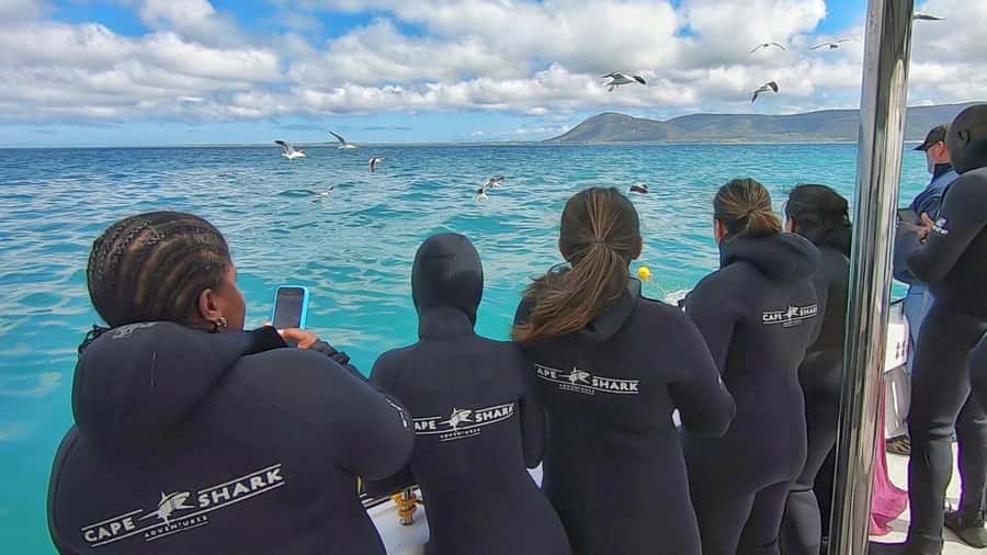 Shark & Whale Trip Combo - Price and value at $283 per person