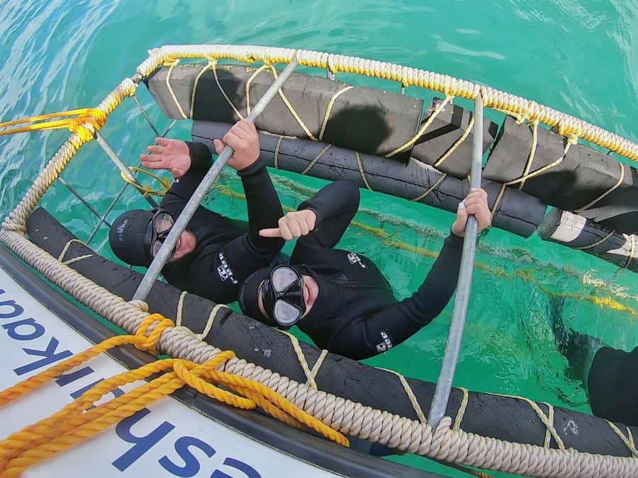 Shark & Whale Trip Combo - Safety, age limits, and what to pack