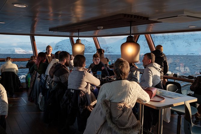 Silent Whale Watching by Hybrid-Electric Boat from Tromsø - Guides, talks, and the value beyond whales