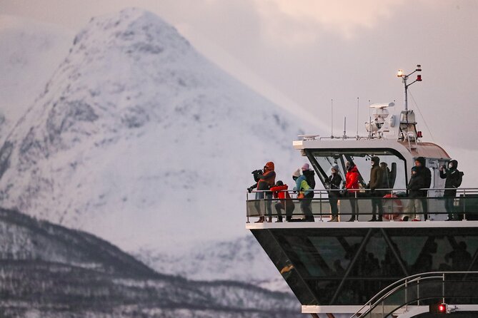Silent Whale Watching by Hybrid-Electric Boat from Tromsø - Price, group size, and overall value