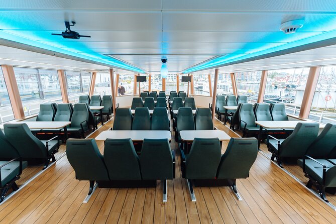 Silent Whale Watching on Hybrid-Electric Boat with Scenic Bustrip - What makes the crew worth having onboard