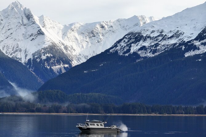 Sitka Premier Whale Watching and Wildlife Tour - The guides are a major part of the value