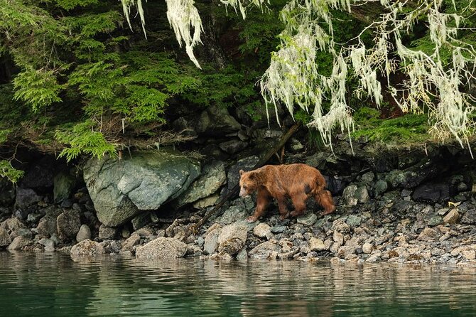 Sitka Whale Watch and Sea Otter Quest - Leaving Crescent Harbor for open water