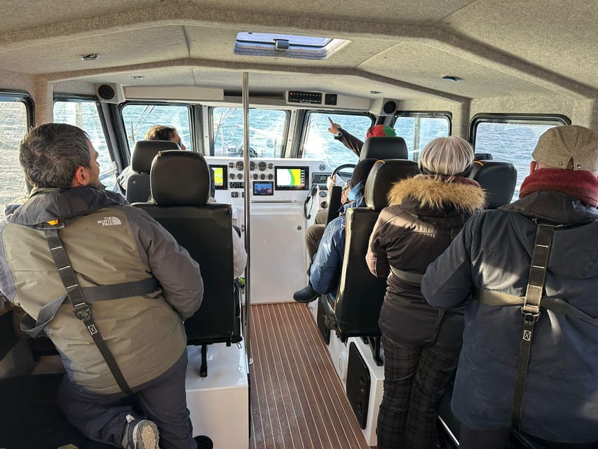 Skjervøy: Orca and Whale-Watching comfort heated Boat Trip - Meeting the boat at Skjervøy