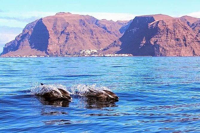Small Group Boat Whale and Dolphin Watching Tour - A simple picnic with local-feeling snacks