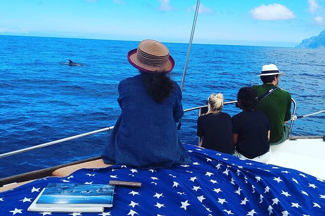 Small Group Boat Whale and Dolphin Watching Tour - Is $58.05 a fair price?