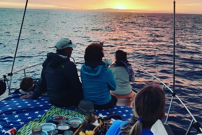Small Group Boat Whale and Dolphin Watching Tour - Who should book this La Gomera boat trip?