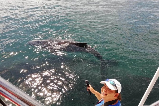 Small-Group Half-Day Whale-Watching Tour in Puerto Vallarta - Breaches, calves, dolphins, and whale songs