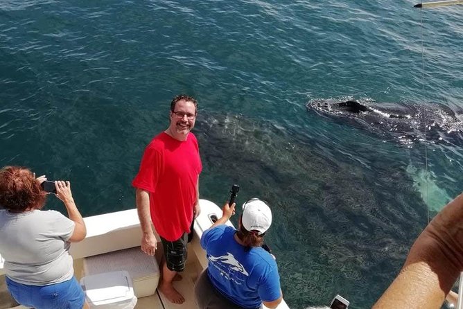 Small-Group Half-Day Whale-Watching Tour in Puerto Vallarta - Lunch, drinks, and dietary requests