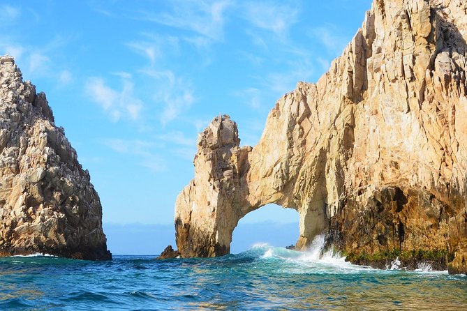 SMALL GROUP Whale Watch | Cabo San Lucas | Biologist | FREE Pics - Free photographs, with a practical benefit