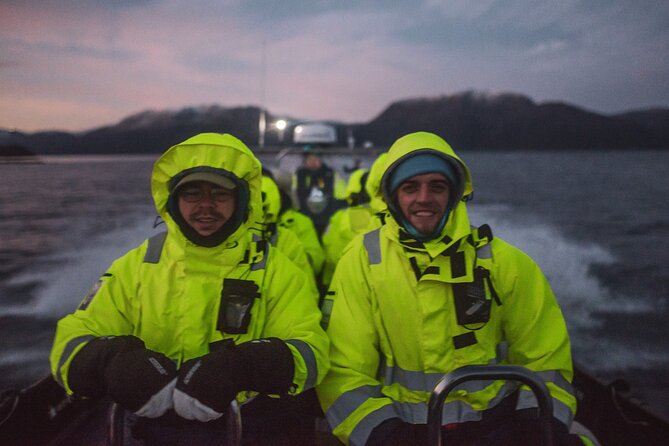 Small Group Whale Watching by RIB - Staying warm on a cold Alta morning