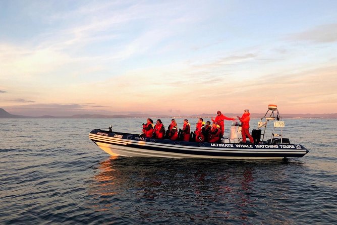 Small-group Whale Watching in the Midnight Sun from Reykjavík - Meeting the boat at Old Harbour
