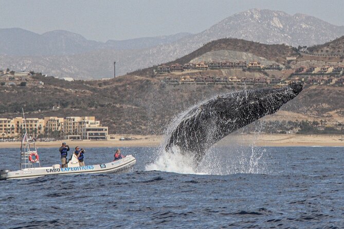Small-Group Whale Watching Zodiac Boat Cruise in Cabo San Lucas - The ride is part of the adventure