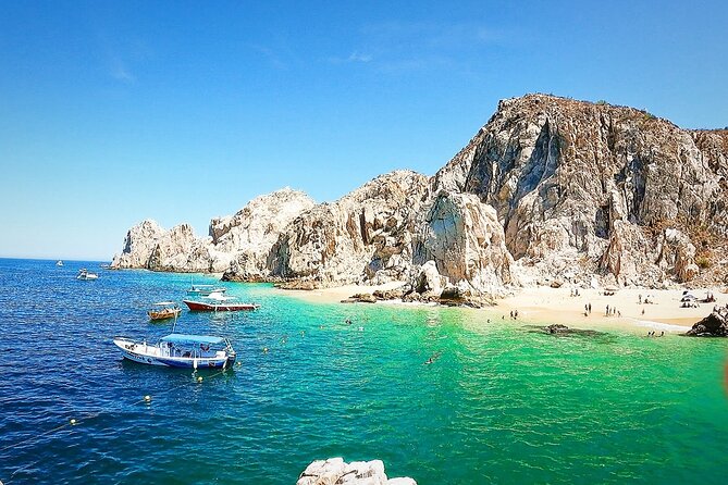 Snorkeling and whale watching Tour in Cabo - Is $850 a fair price?