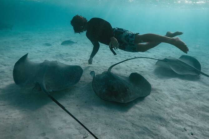 Snorkeling Lagoon Cruise and Whale Watching in Moorea - Who will enjoy this Moorea cruise most