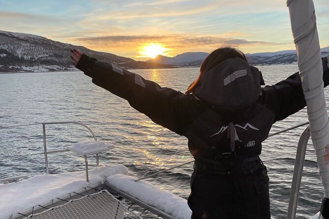 Snorkeling with Orcas In Norway, 4 days All-Inclusive expedition - What a whale encounter may actually look like