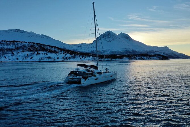 Snorkeling with Orcas In Norway, 4 days All-Inclusive expedition - Nick, Håkon, and the value of a small crew