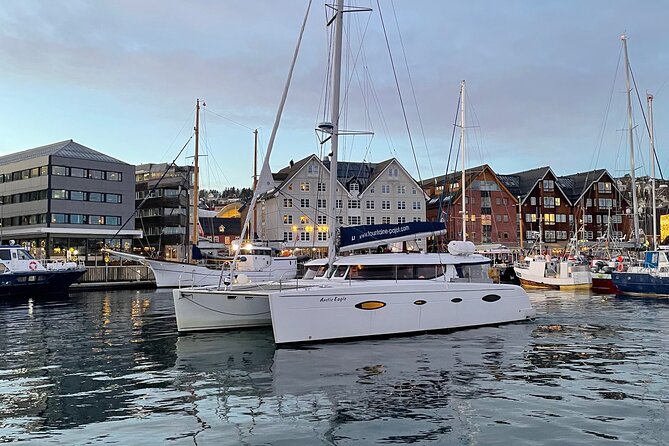 Snorkeling with Orcas In Norway, 4 days All-Inclusive expedition - Who should book this trip