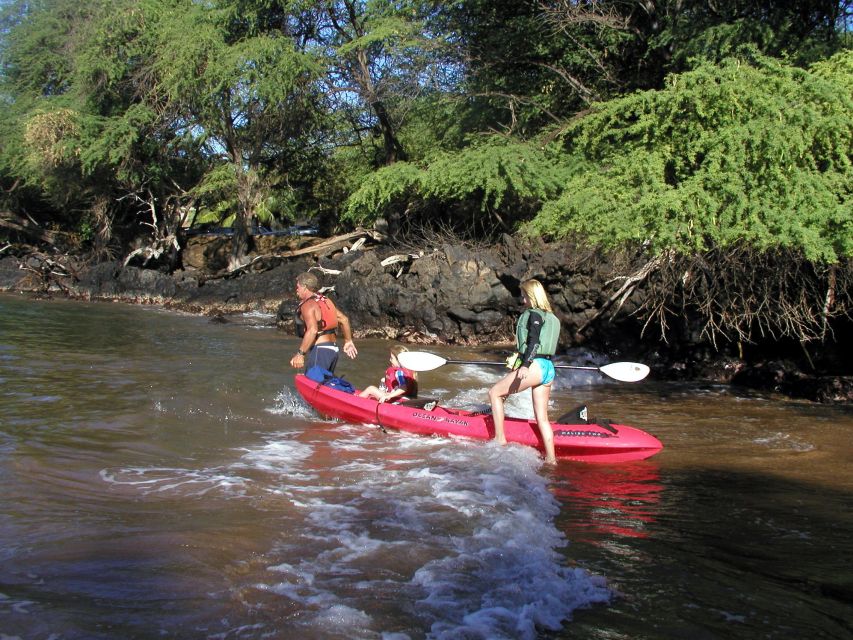 South Maui: Whale Watch Kayaking and Snorkel Tour in Kihei - Starting at Makena Landing, not from your hotel